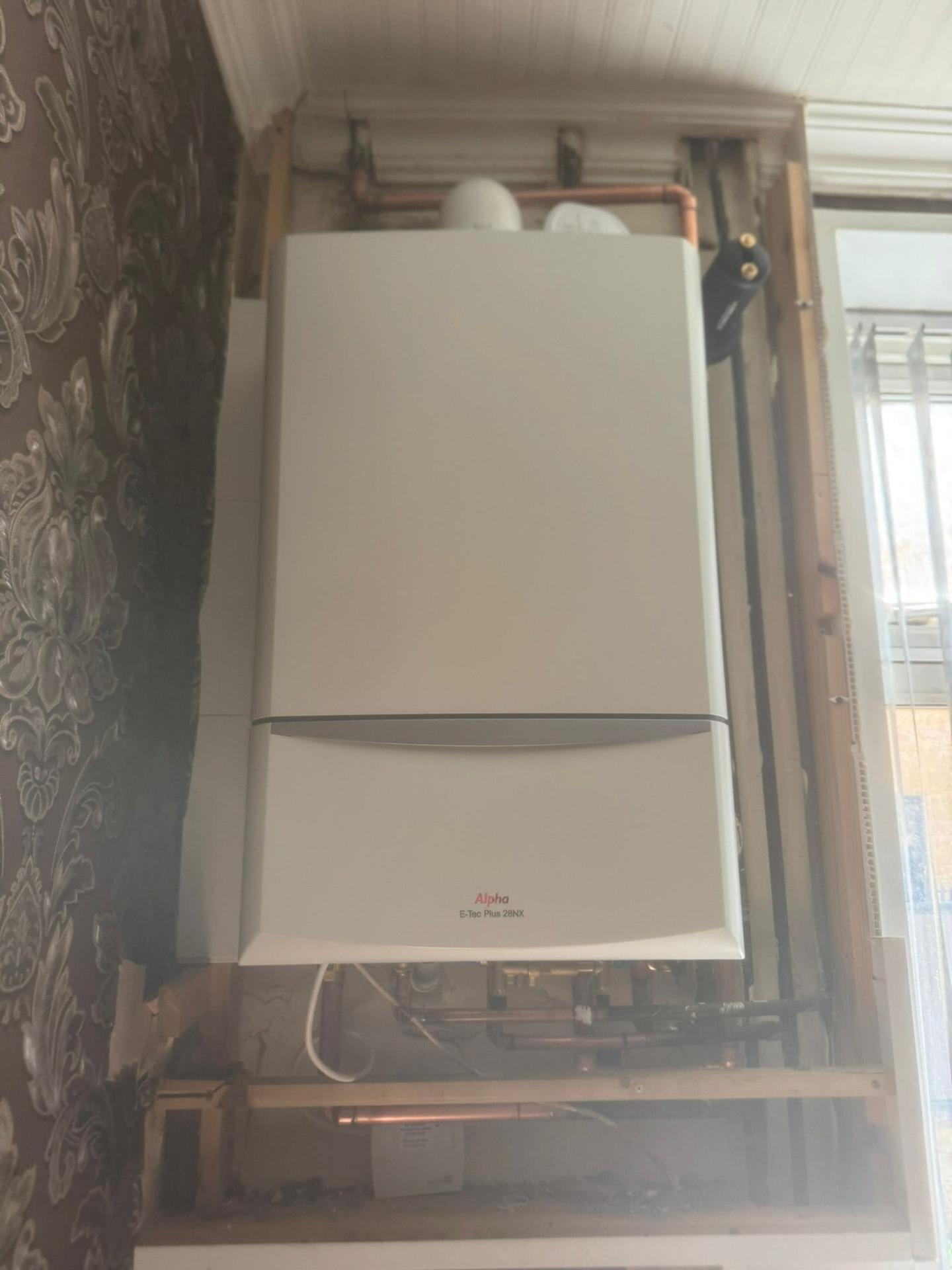 Annual boiler servicing on Alpha E-Tec in Nuneaton